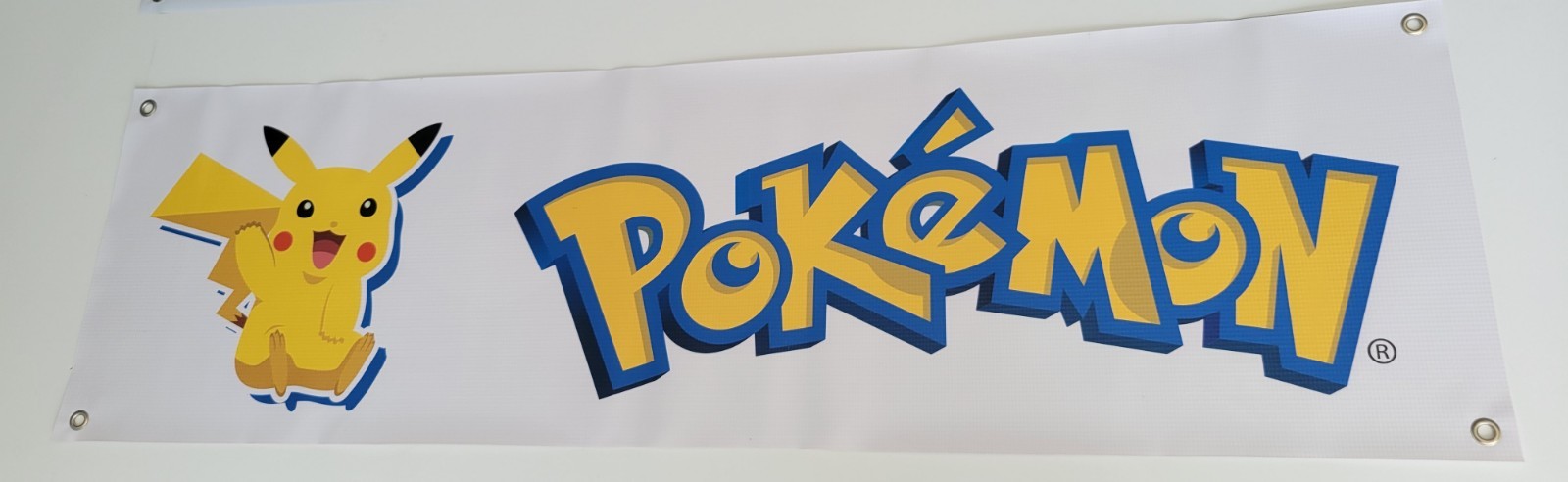 Pokemon vinyl Banner 14\ Pokemon vinyl Banner 14\