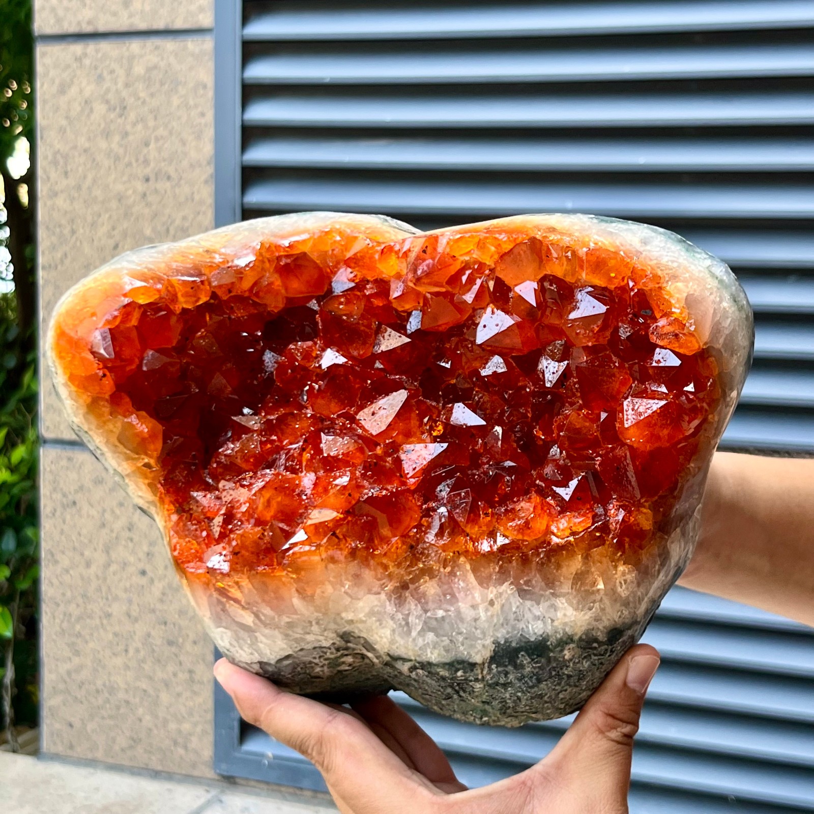 13 lb Citrine Crystal Cluster Geode orange-yellow Mineral Specimen Collectible 13 lb Citrine Crystal Cluster Geode orange-yellow Mineral Specimen Collectible