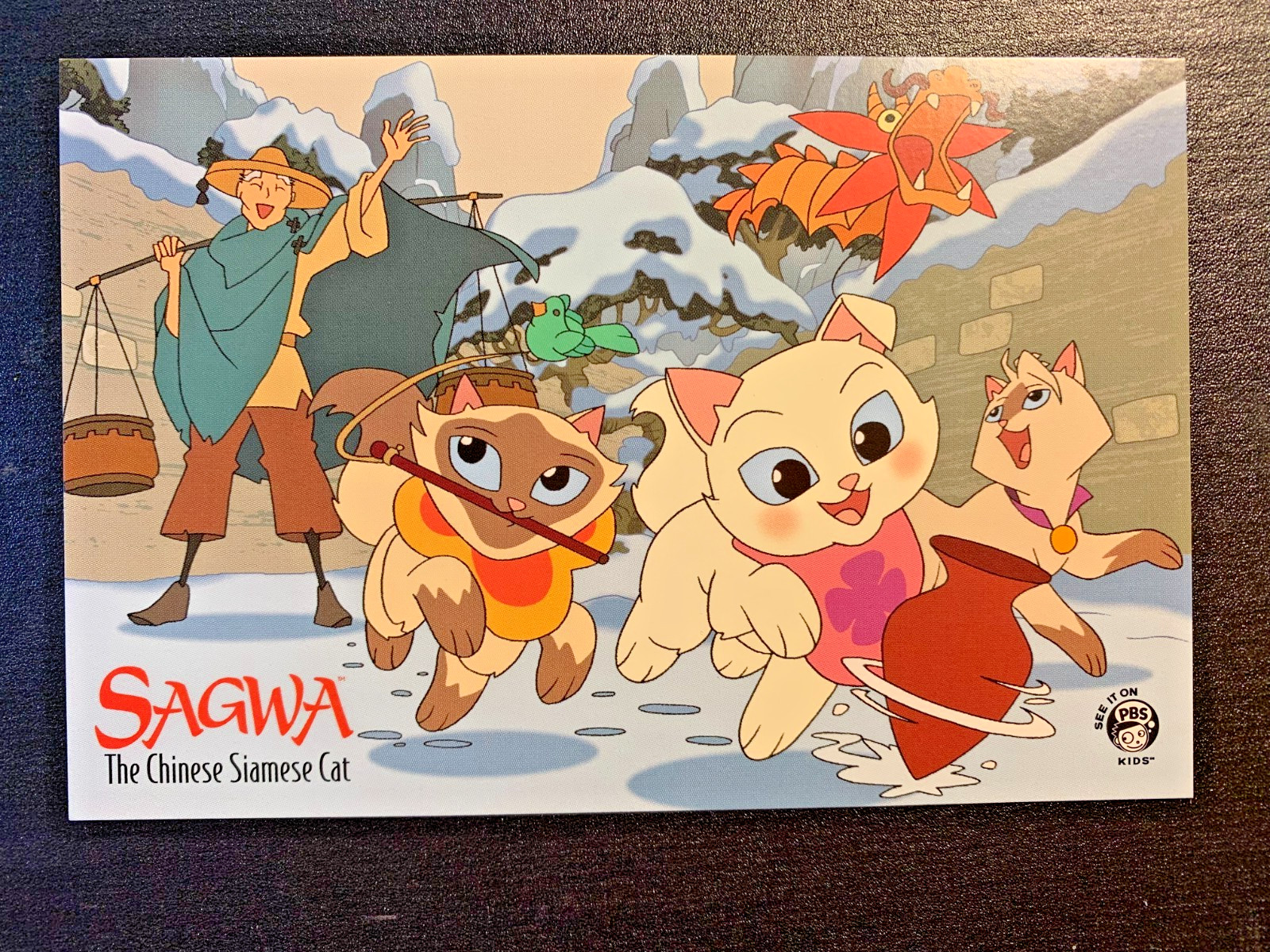 Postcard Sagwa - The Chinese Siamese Cat **Ships Free**