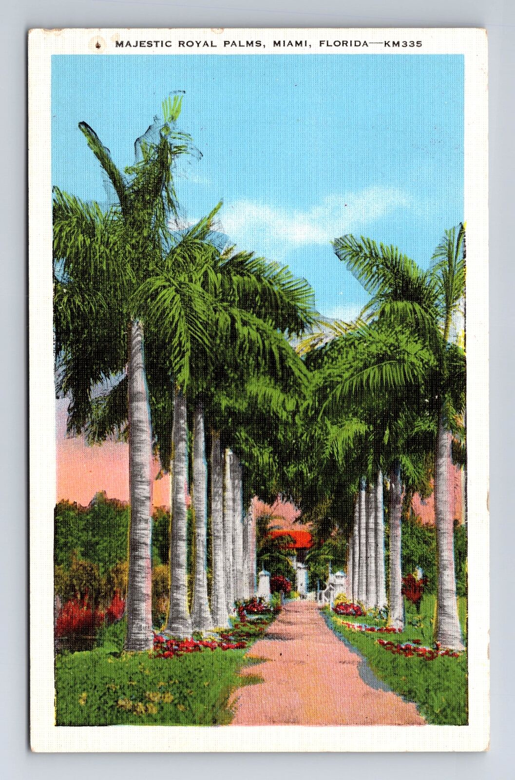 Miami FL-Florida, Majestic Royal Palm Lined Drive, Antique Vintage Postcard