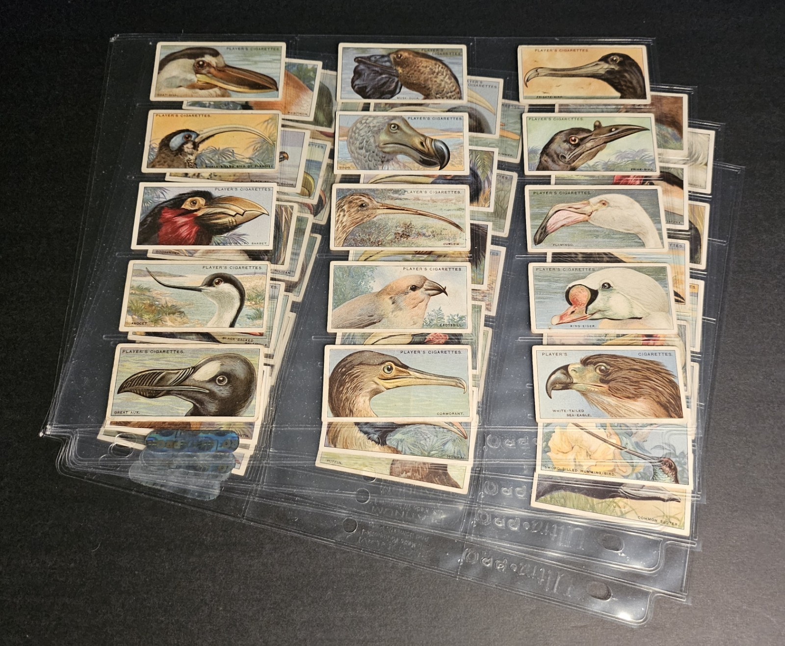 1929 John Player & Sons Curious Beaks Complete 50 Card Bird Set (Mid Grade) 1929 John Player & Sons Curious Beaks Complete 50 Card Bird Set (Mid Grade)