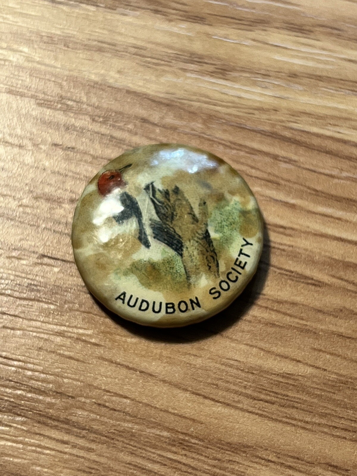 Vintage Bastian Branded Audubon Society Collectible Bird Souvenir Button Pin