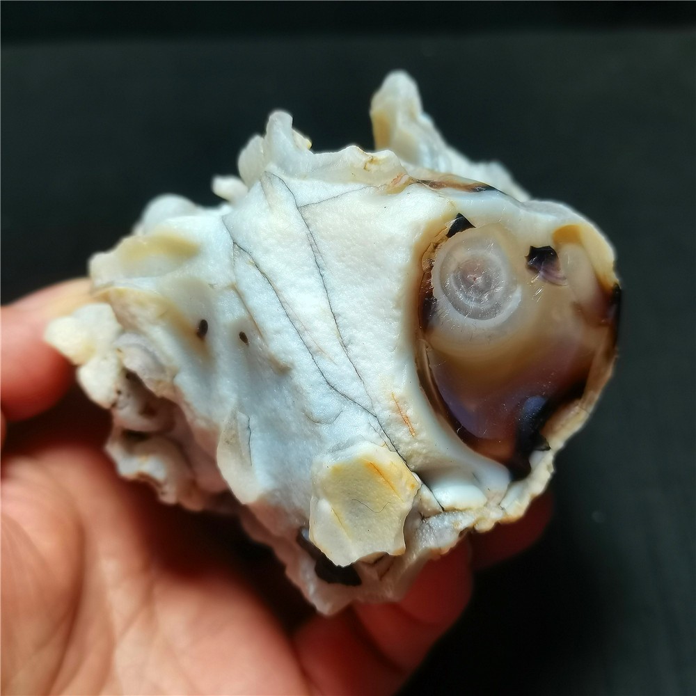 Rare 442G  Natural Inner Mongolia Gobi Eyes Agate Rough stone Healing R1688
