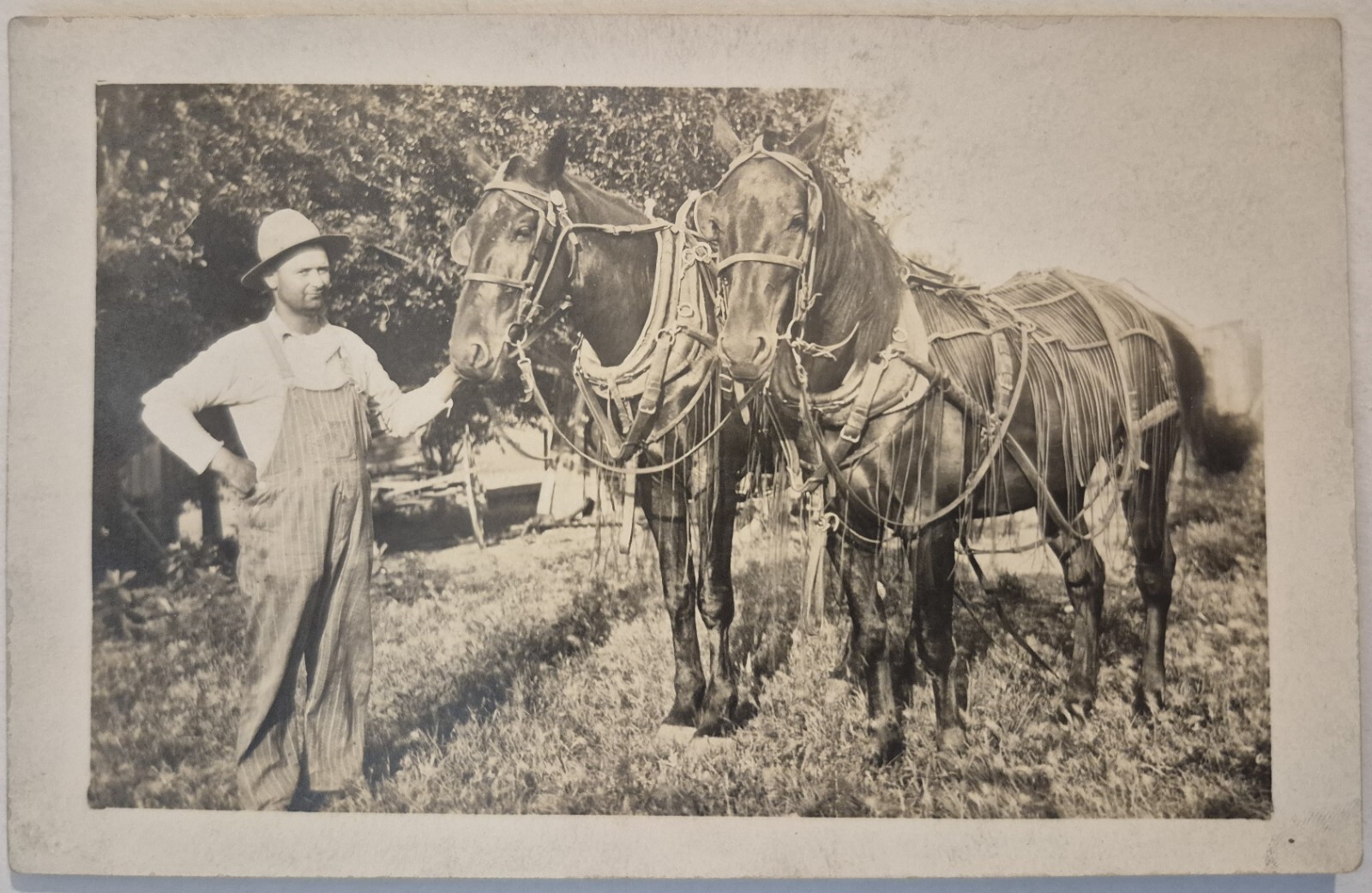Vintage Postcard RPPC Man In Overalls With Two Horses 1908 AA84 Vintage Postcard RPPC Man In Overalls With Two Horses 1908 AA84