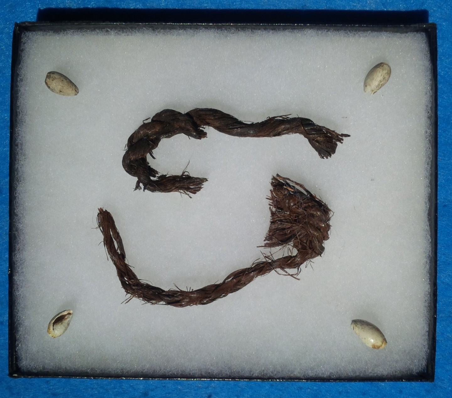 2 CORDAGE & 4 BEADS COUGAR MOUNTAIN CAVE PERISHABLE ARTIFACTS OREGON ARROWHEADS 2 CORDAGE & 4 BEADS COUGAR MOUNTAIN CAVE PERISHABLE ARTIFACTS OREGON ARROWHEADS