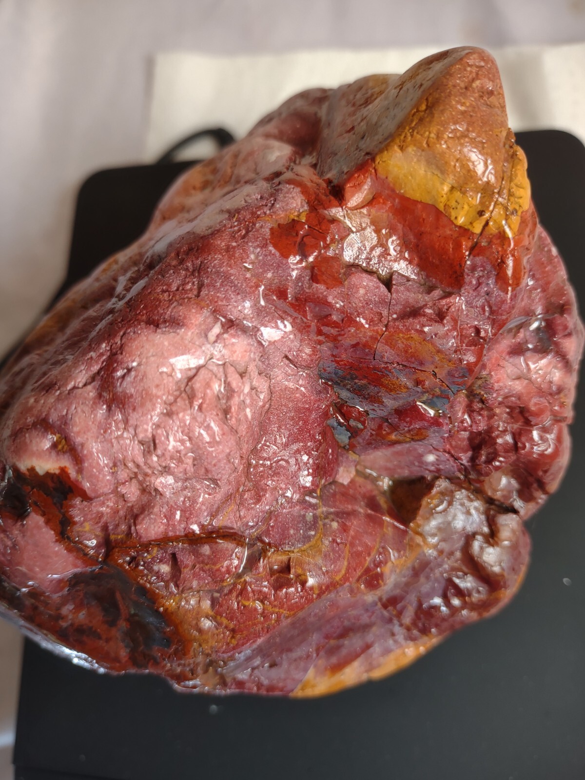 Petrified RAINBOW Wood Wa St. Fire Opal Sparkle, Pink, Red Orange Rare 2.9 lbs Petrified RAINBOW Wood Wa St. Fire Opal Sparkle, Pink, Red Orange Rare 2.9 lbs