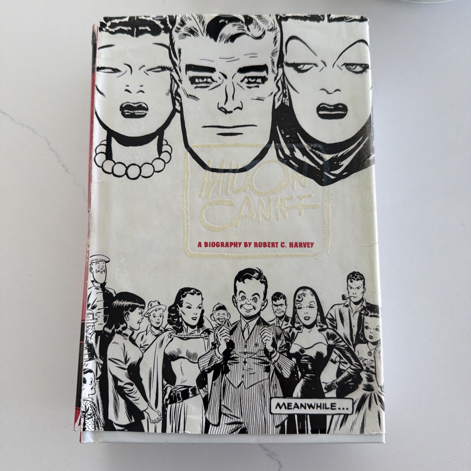 Meanwhile: A Biography of Milton Caniff - Terry & the Pirates, Steve Canyon - HC Meanwhile: A Biography of Milton Caniff - Terry & the Pirates, Steve Canyon - HC