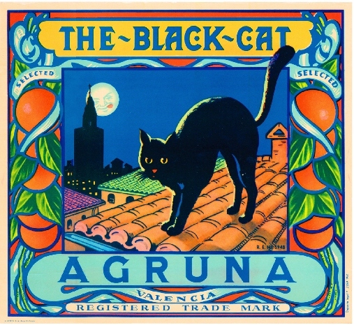 Valencia Spain Spanish The Black Cat Orange Citrus Fruit Crate Label Art Print Valencia Spain Spanish The Black Cat Orange Citrus Fruit Crate Label Art Print