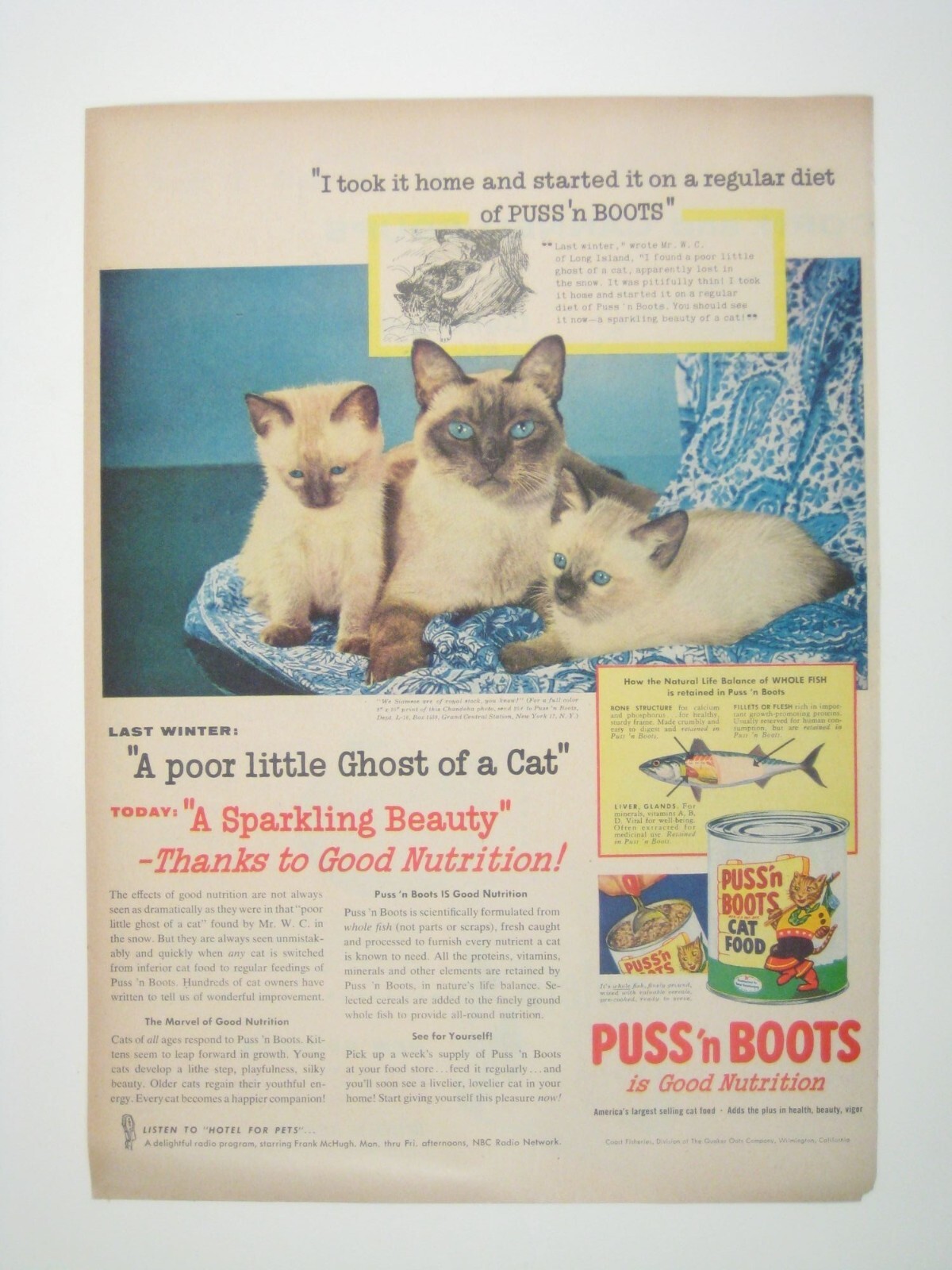 1956 Vintage Puss n Boots Cat Food Print Advertisement Siamese Kitty Feline MOD