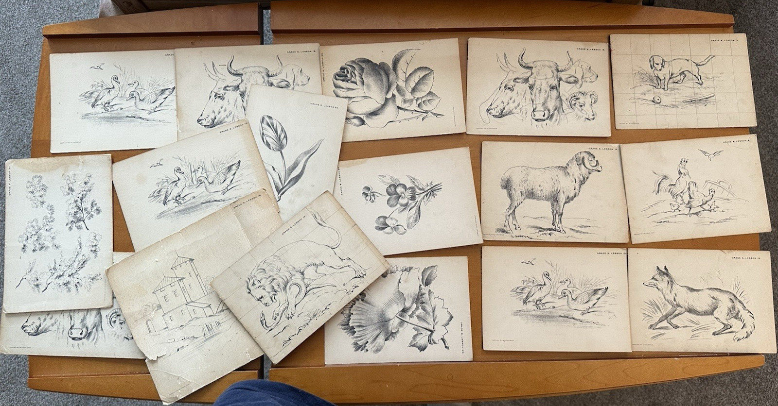 Antique 1914 Krone Bros Drawing Art Class Grade 6 Lesson Cards Animals Flowers