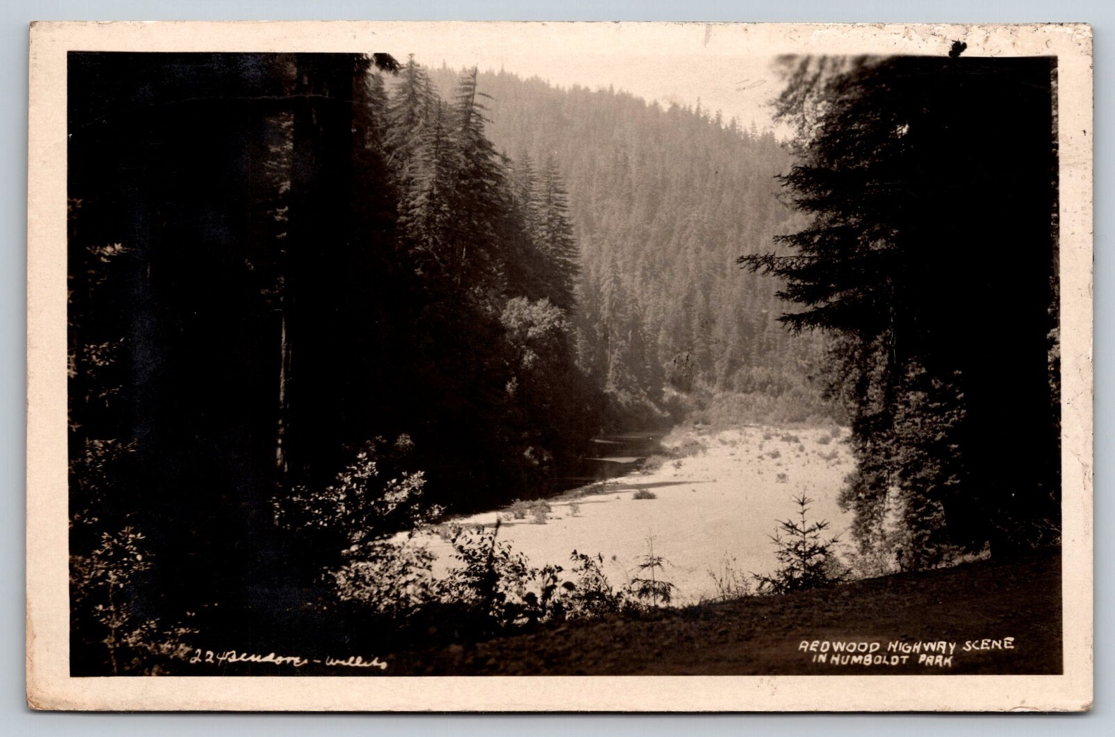 RPPC Redwood Highway Humboldt Park California Postcard RPPC Redwood Highway Humboldt Park California Postcard