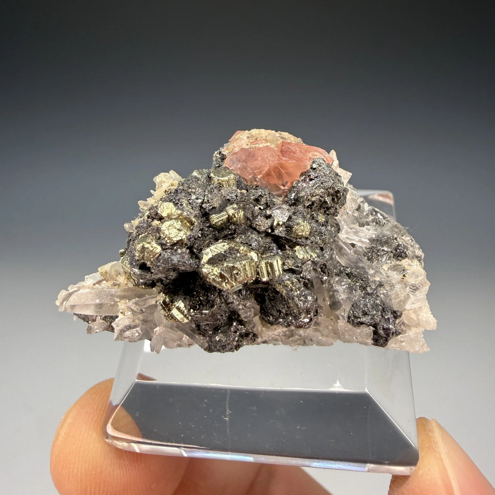 Rhodochrosite, Quartz, Pyrite, Tetrahedrite, Sweet Home Mine, Alma Mining Dist. Rhodochrosite, Quartz, Pyrite, Tetrahedrite, Sweet Home Mine, Alma Mining Dist.