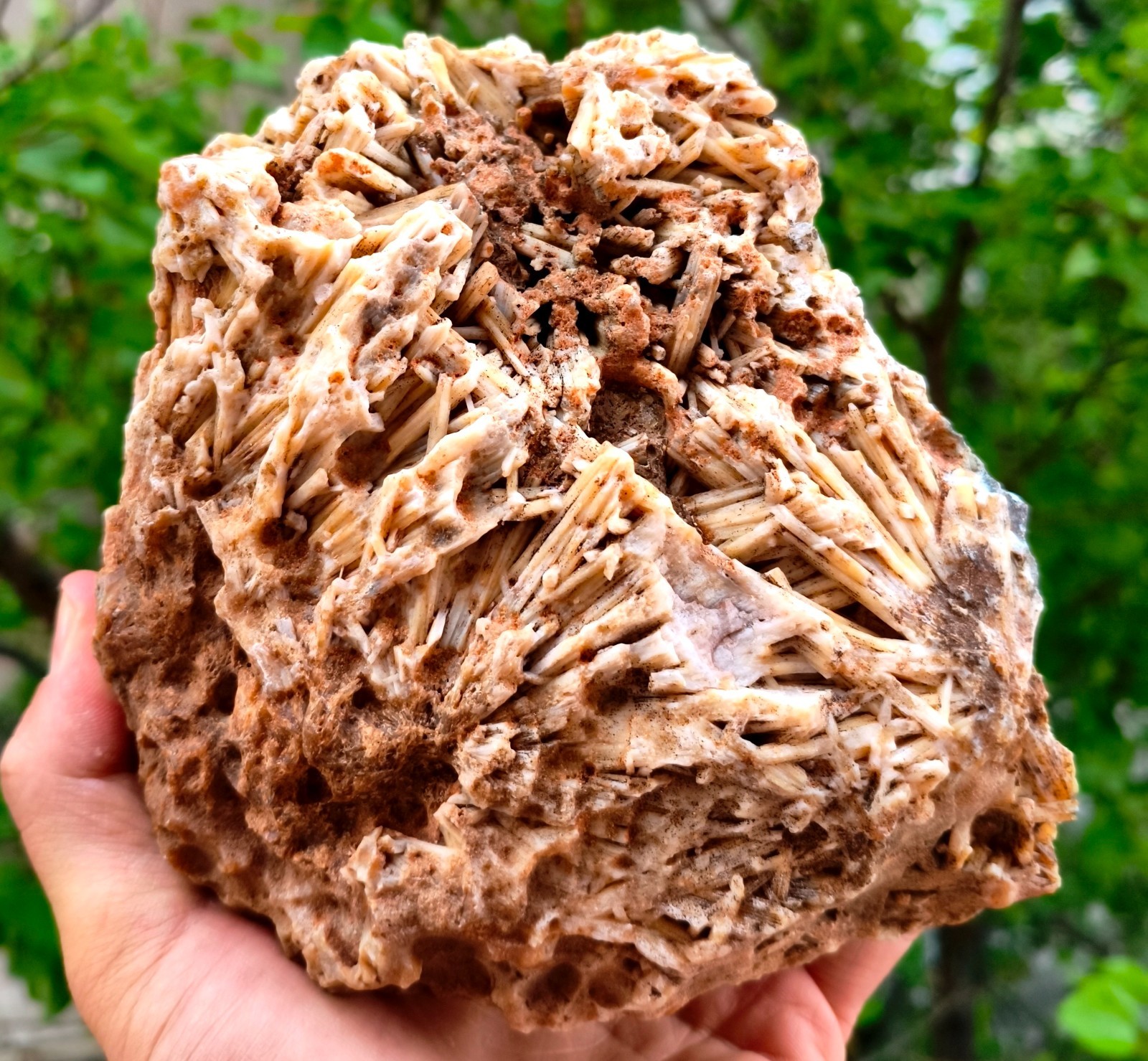 5 Lb 14.28 Oz Extremely Rare Agate Pseudomorph After Zeolite 5 Lb 14.28 Oz Extremely Rare Agate Pseudomorph After Zeolite