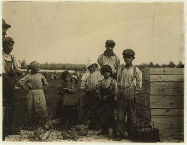 Browns Mills NJ 1910 Cranberry Harvest Schoolchildren Rosie Whites Bog
