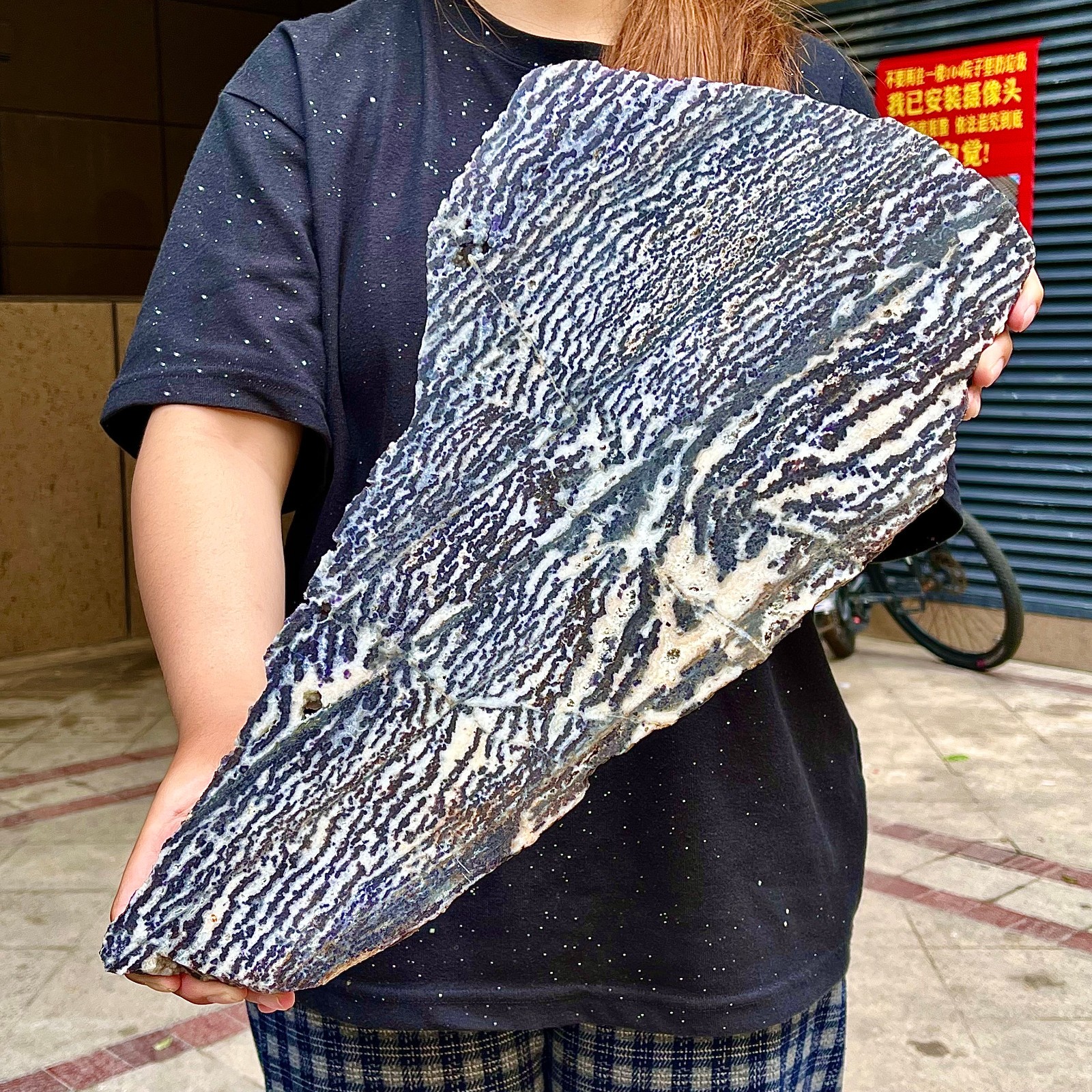 4.96LB  Beautiful Zebra Rock - Unique Purple and White Striped Gemstone