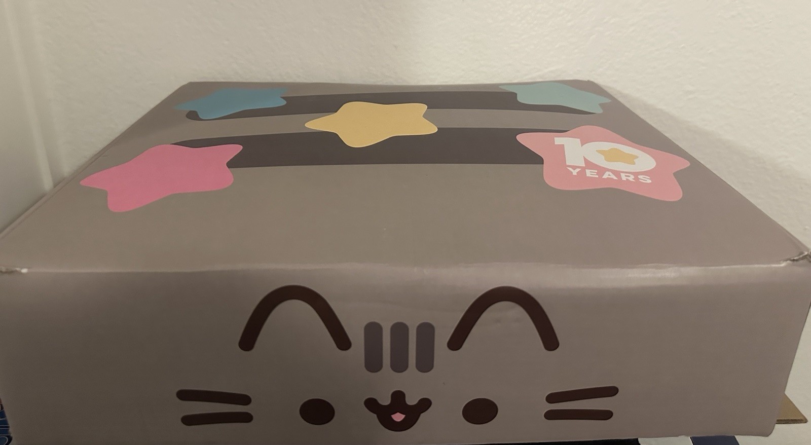 CultureFly Pusheen Gray Box Winter 2020, Size Medium New But Missing Plates