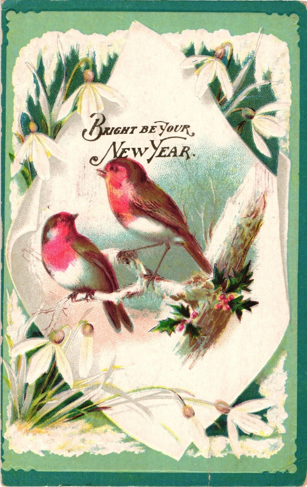 1907 Bright Be Your New Year Winter Birds Embossed Postcard