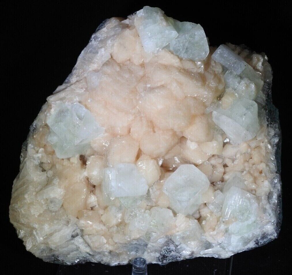 4.3 LB Superb Natural Apophilite on Stilbite - Poona, India