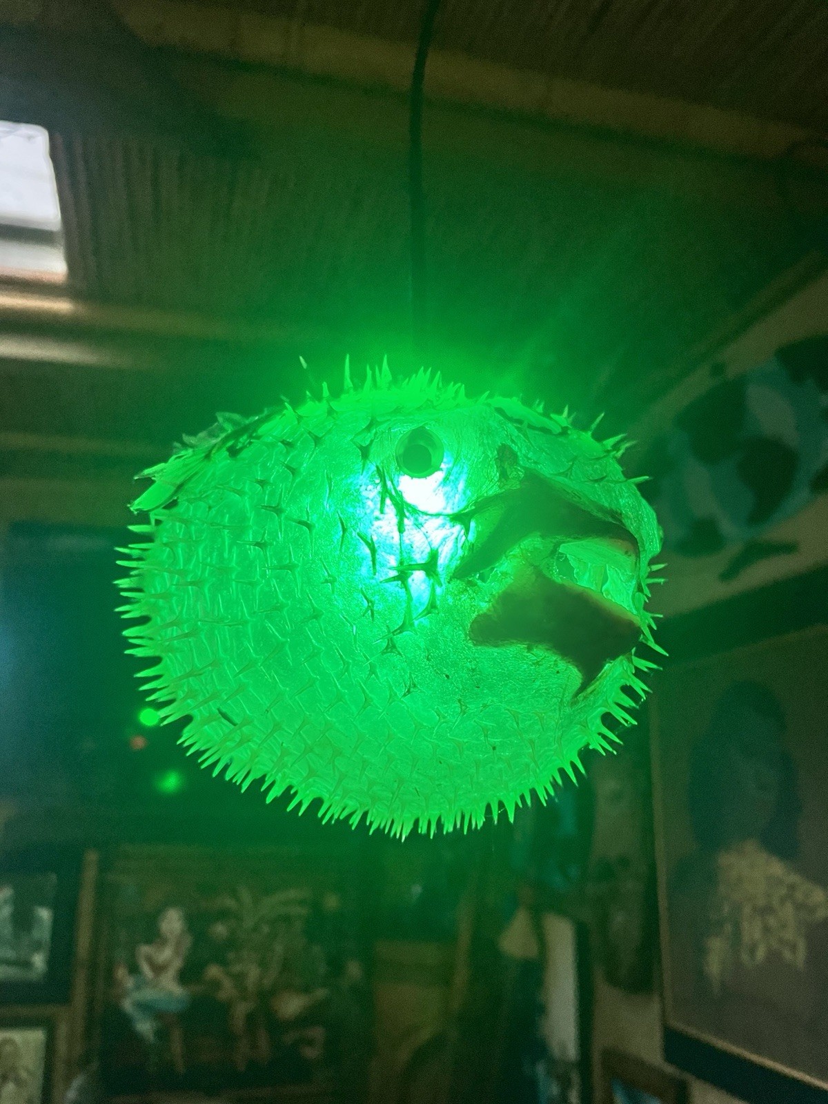 NEW 12”-13” Pufferfish Lamp w/Green LED Tiki bar Oceanic Smokin’ Tikis
