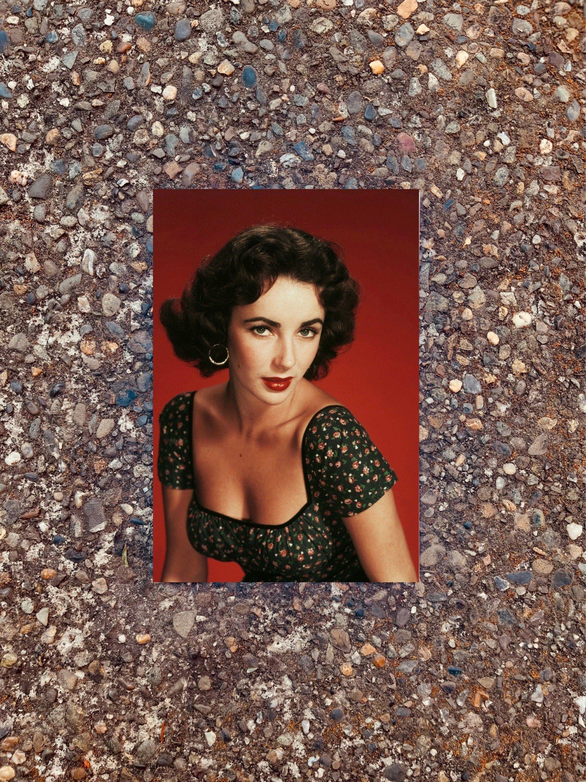 Elizabeth Taylor Vintage Floral Dress Red Background 4x6 Photo Lustre Print Elizabeth Taylor Vintage Floral Dress Red Background 4x6 Photo Lustre Print
