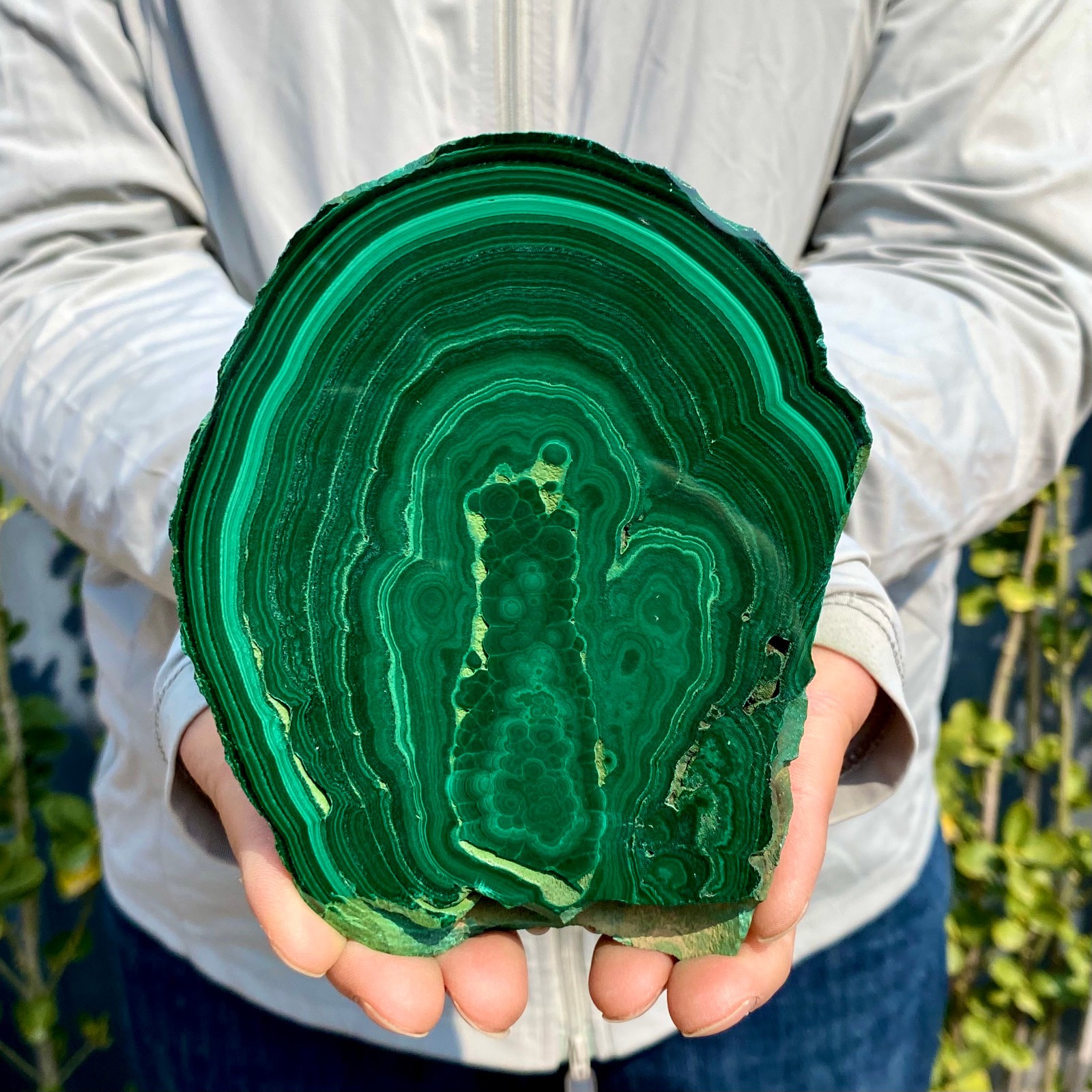 1.62LB Natural malachite slice quartz crystal luster mineral specimen