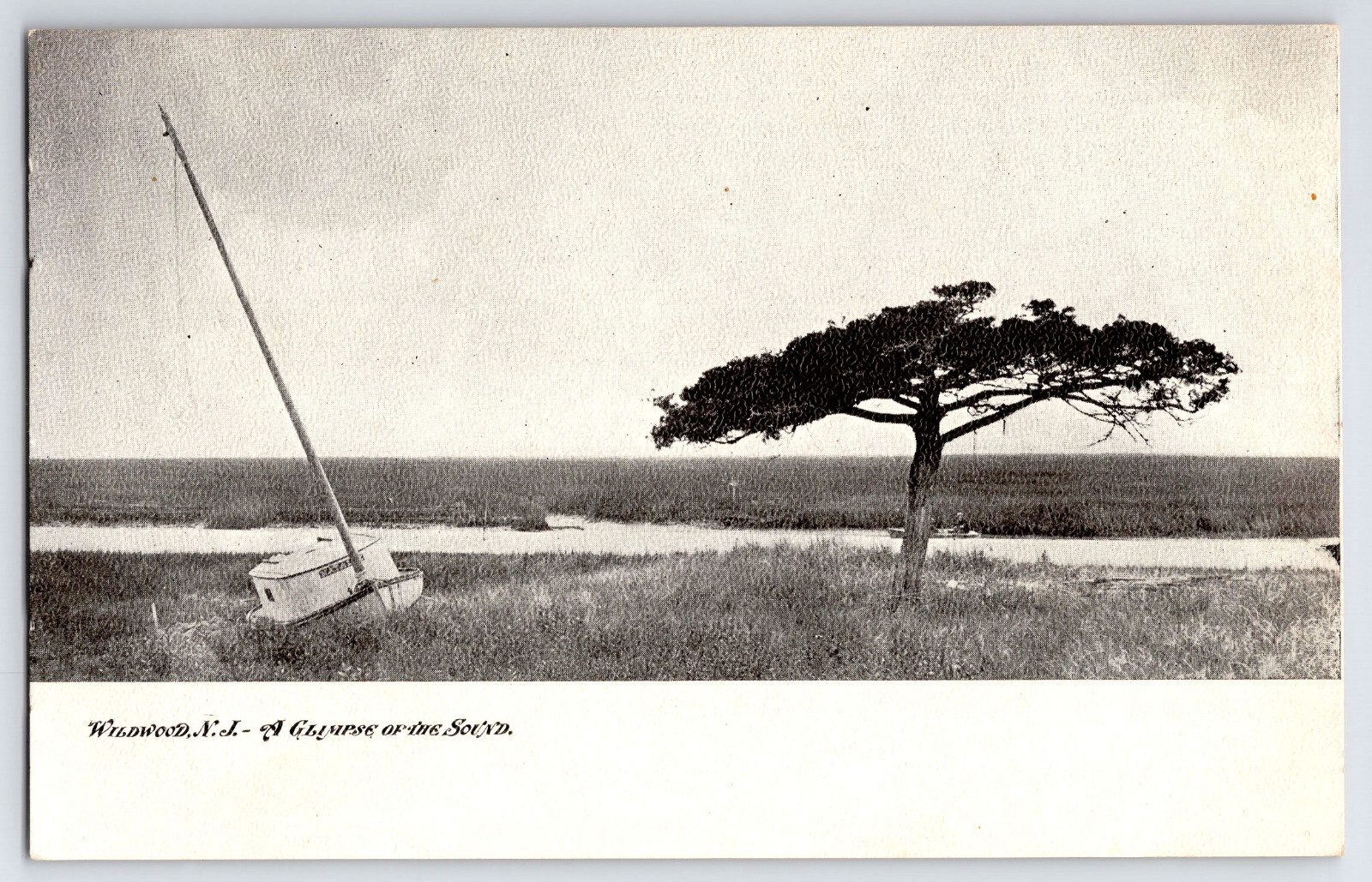 [4i4] Postcard Unused Undivided Back, Wildwood NJ, A Glimpse of the Sound