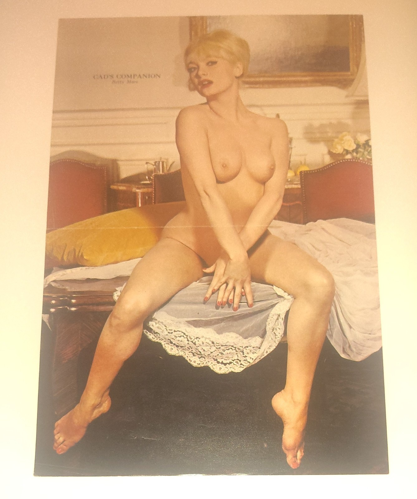 Vintage 1960s Betty Blue Pinup Photo Art Cads Companion Fine Art Layout SetAn