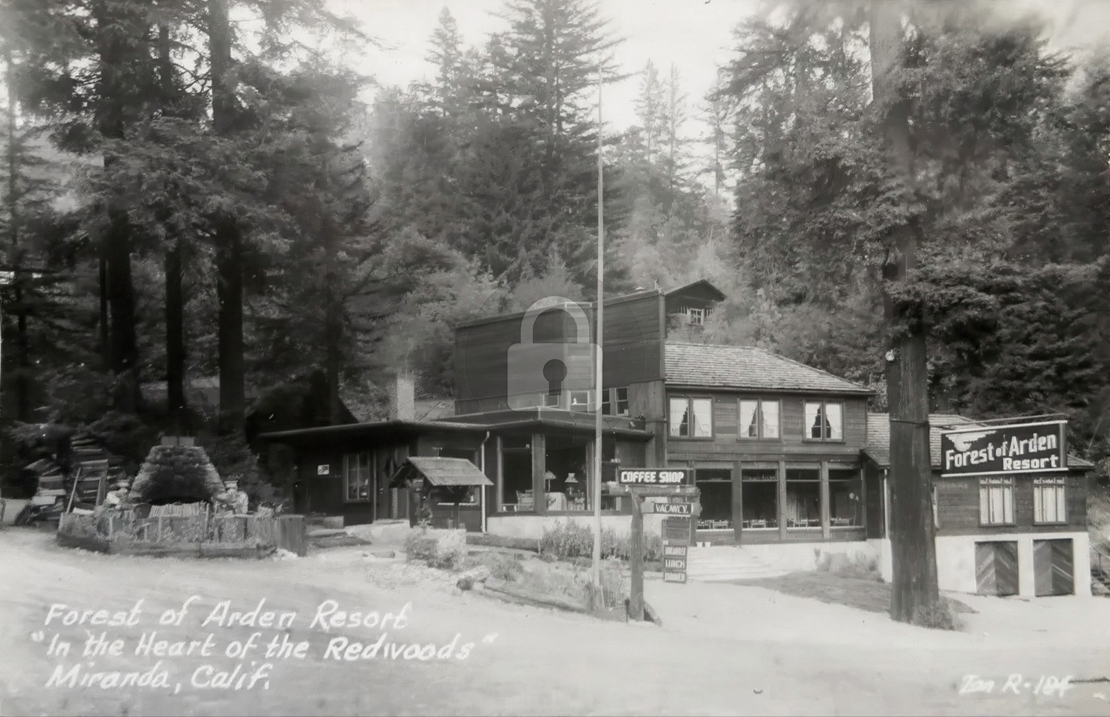 c1940s Forest of Arden Resort nr Miranda Redwoods Humboldt County RPPC COPY c1940s Forest of Arden Resort nr Miranda Redwoods Humboldt County RPPC COPY