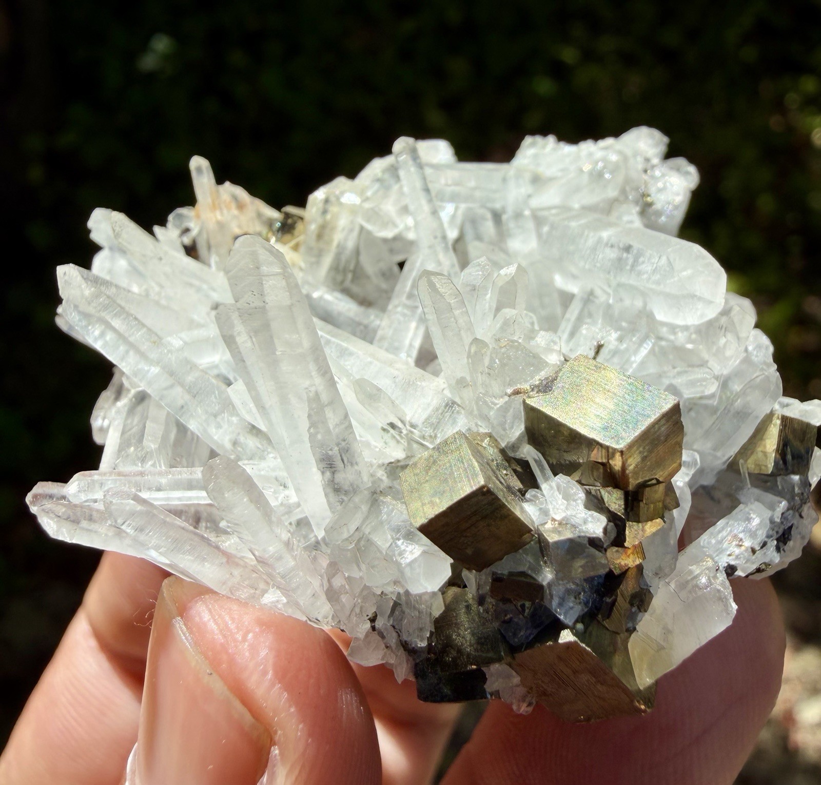 Rare Pyrite On Quartz From Peru , 6cm, 40gm Rare Pyrite On Quartz From Peru , 6cm, 40gm