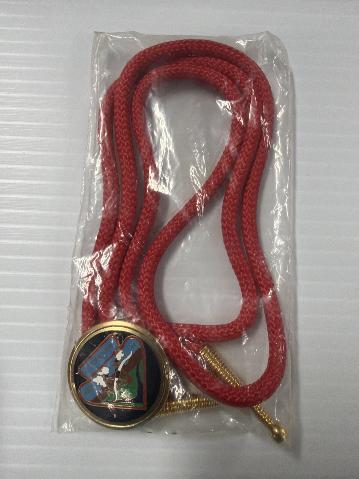 Vintage 1970's Boy Scout WITAUCHSOMAN Neck Ties - NEW