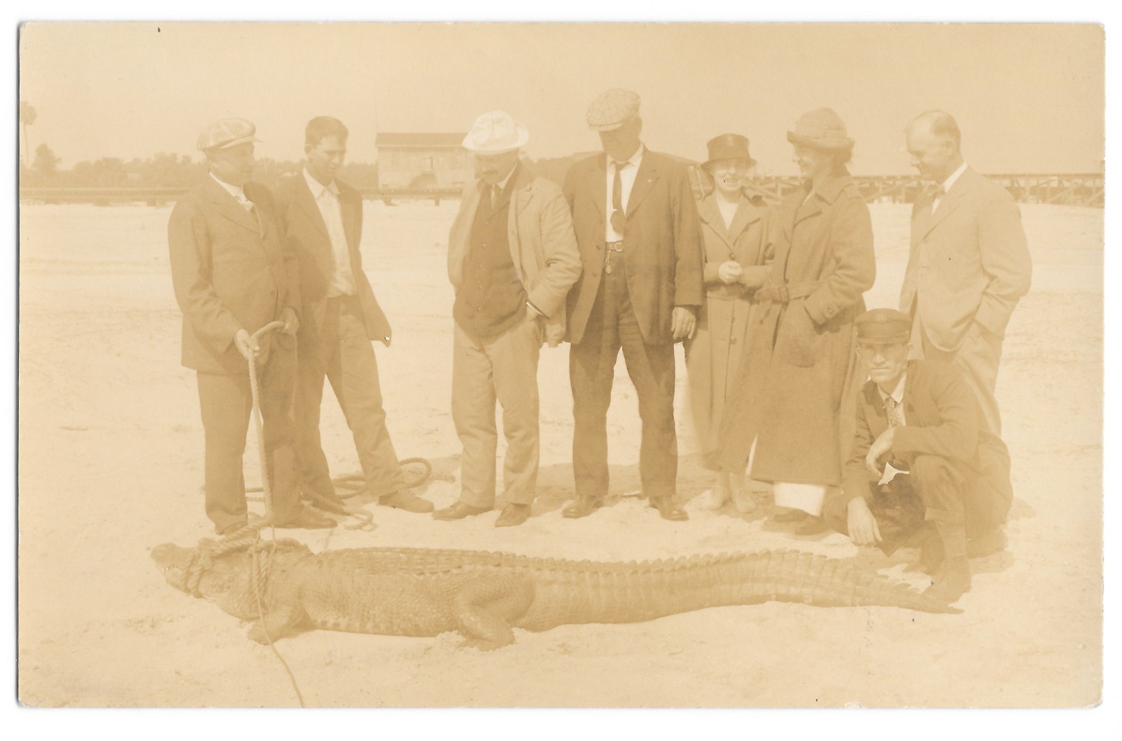 RPPC Group w/ Large Alligator Roped Sanford FL c1918 Real Photo Postcard RPPC Group w/ Large Alligator Roped Sanford FL c1918 Real Photo Postcard