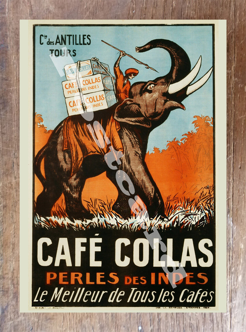Historic Cafe Collas Coffee Elephant Advertising Postcard Historic Cafe Collas Coffee Elephant Advertising Postcard