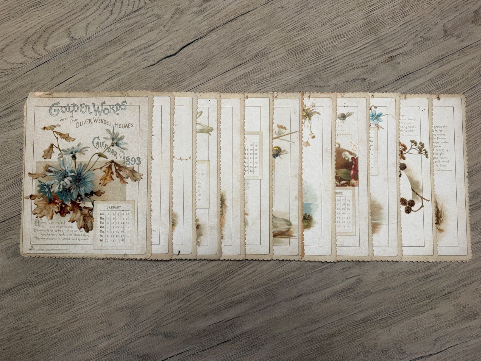 1893 Golden Words Oliver Wendell Holmes Complete Calendar Victorian Raphael Tuck 1893 Golden Words Oliver Wendell Holmes Complete Calendar Victorian Raphael Tuck