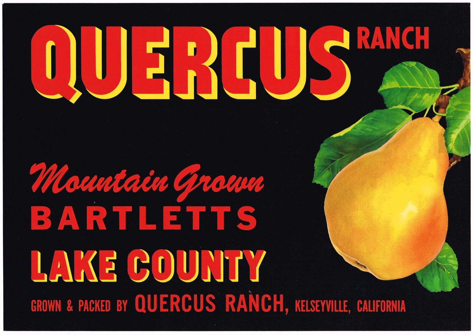 ORIGINAL PEAR CRATE LABEL LAKE COUNTY QUERCUS RANCH KELSEYVILLE VINTAGE BLACK 4 ORIGINAL PEAR CRATE LABEL LAKE COUNTY QUERCUS RANCH KELSEYVILLE VINTAGE BLACK 4