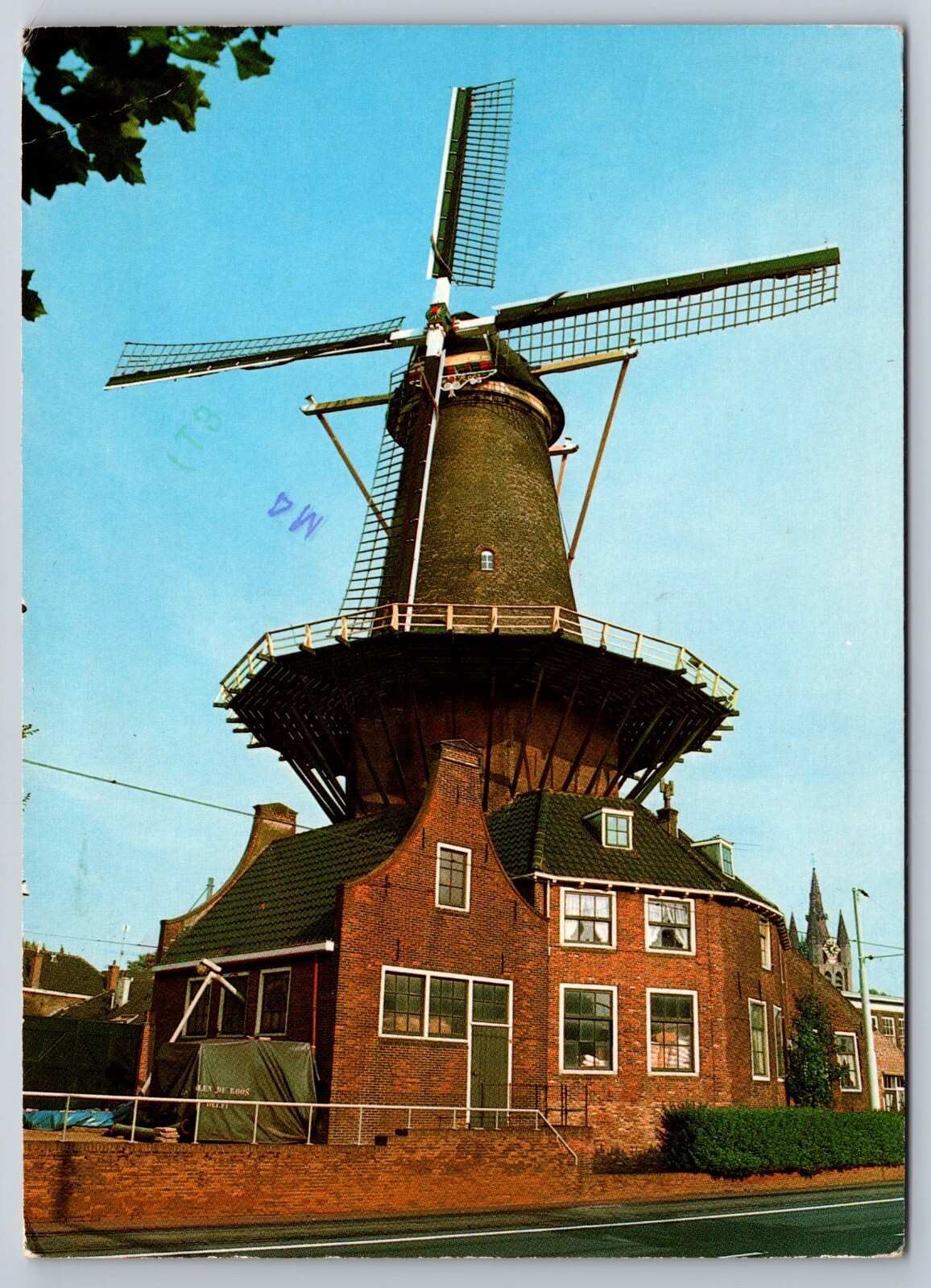 De Roos De Roos