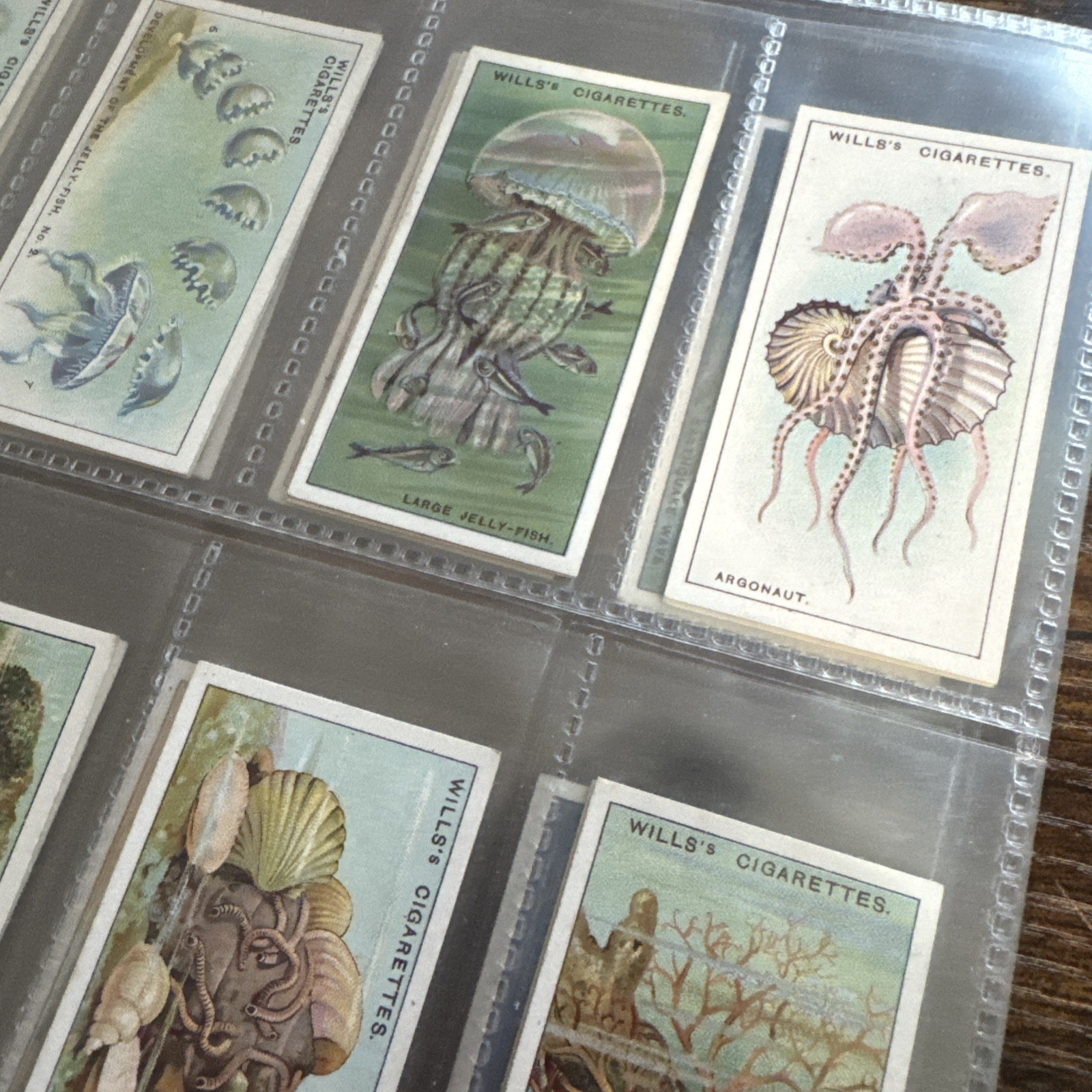 1928 Wills Wonders Of The Sea Full 50 Card Set Sleeved 1928 Wills Wonders Of The Sea Full 50 Card Set Sleeved