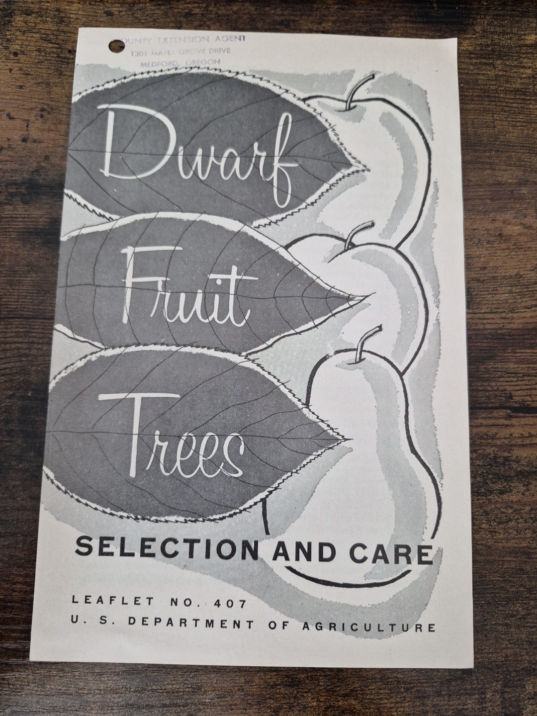 Vintage 1966 USDA Leaflet No 407 Dwarf Fruit Trees Selection & Care Pamphlet