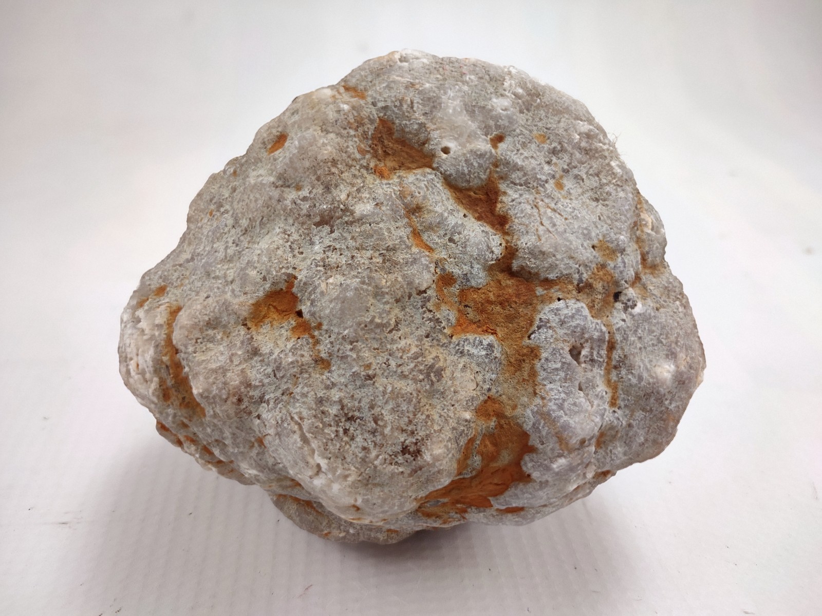 Unopened Kentucky Geode 4 Inch 2.6 LB Natural Gray White Knobby Exterior
