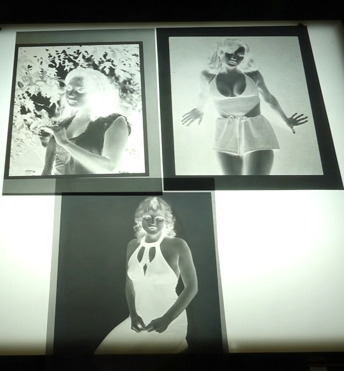 14 Large Format Black & White PHOTO NEGATIVES Pretty Young Ladies NICE