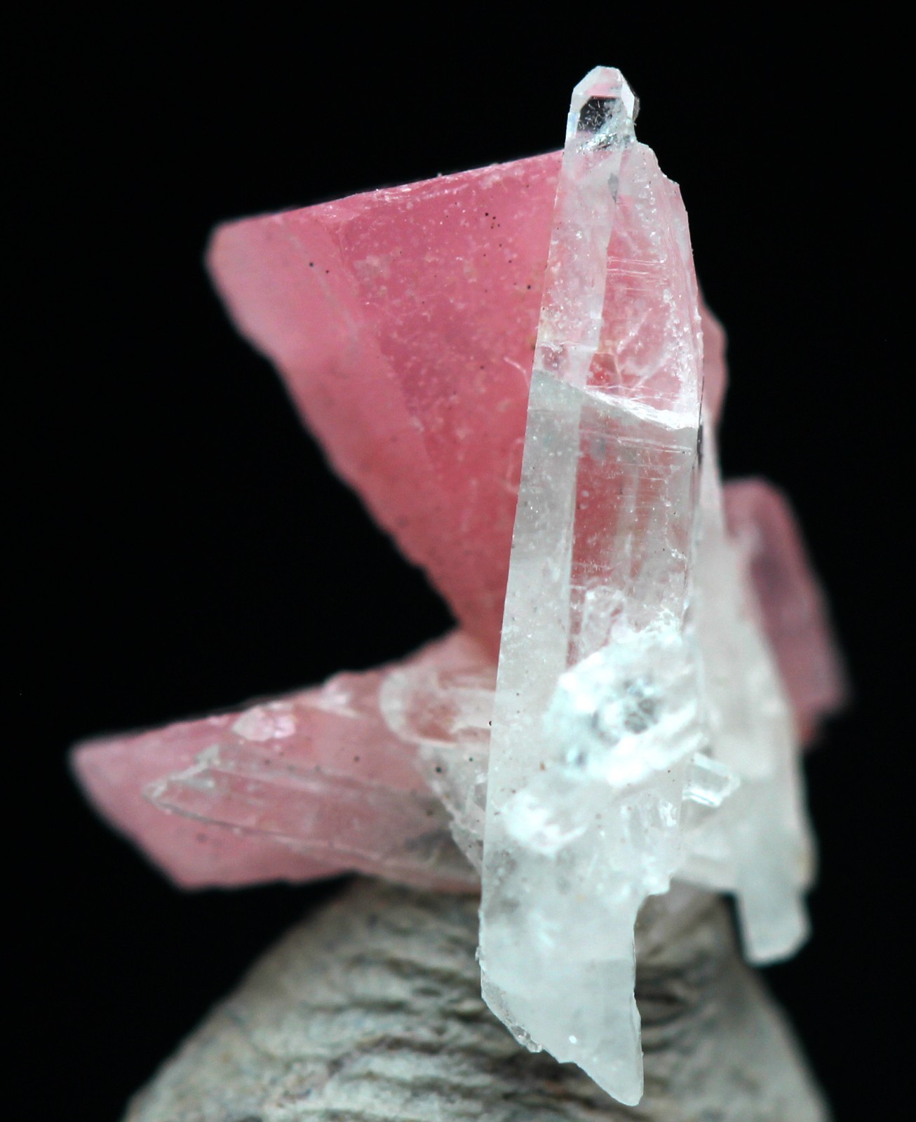 RHODOCHROSITE QUARTZ Crystal Cluster Mineral Micromount Specimen SWEET HOME MINE