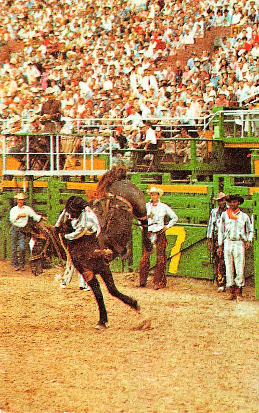 Rodeo Rapid City SD South Dakota Horse Bucking Western Cowboys Vtg Postcard G57