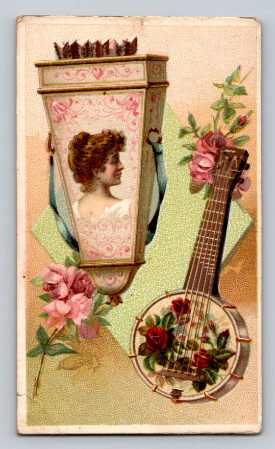 W Duke Sons Tobacco Smoking Chewing Banjo P28 W Duke Sons Tobacco Smoking Chewing Banjo P28