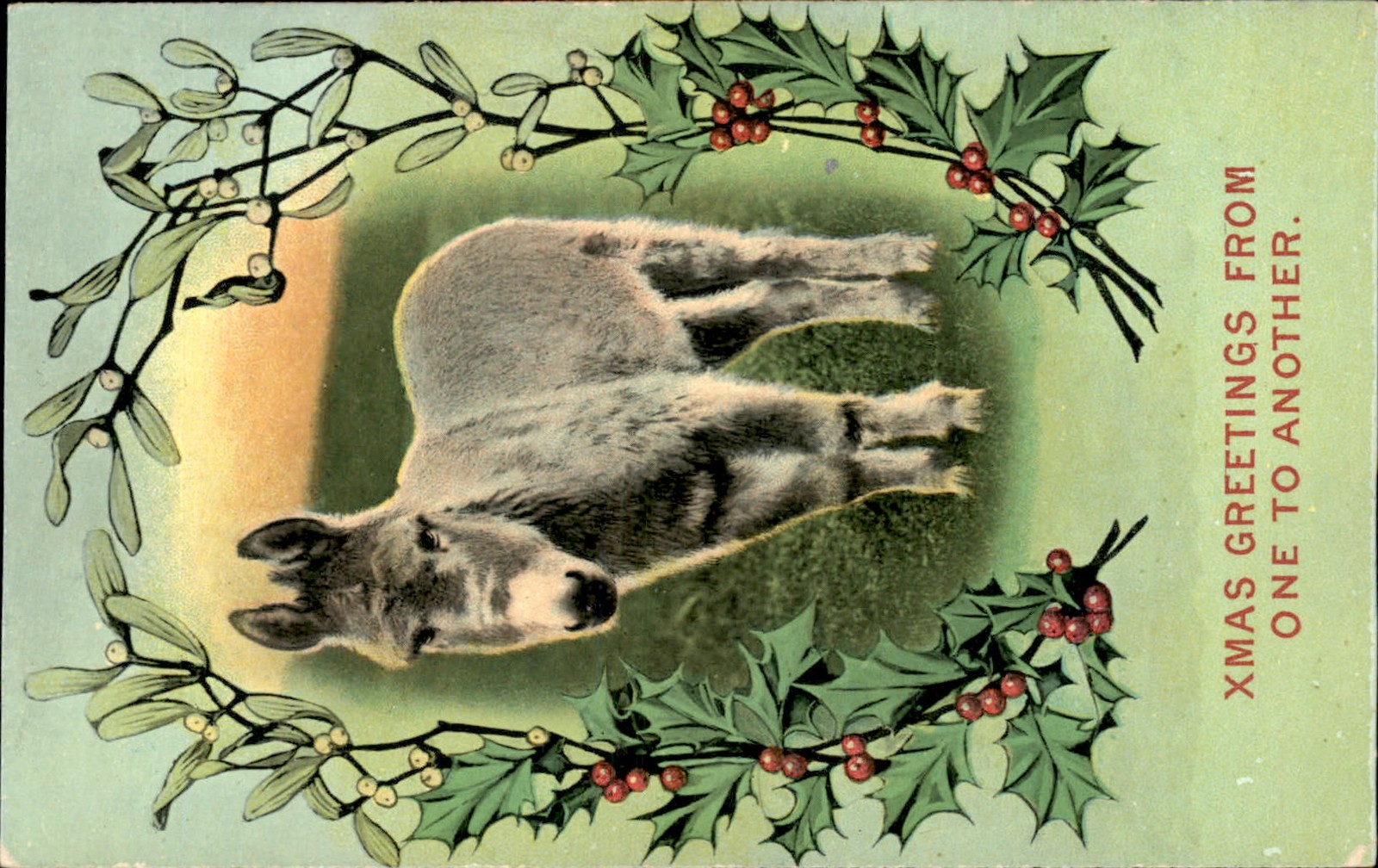 Christmas Wolf in Mistletoe Wreath Animals Bamforth c1910s-20s Vintage Postcard Christmas Wolf in Mistletoe Wreath Animals Bamforth c1910s-20s Vintage Postcard