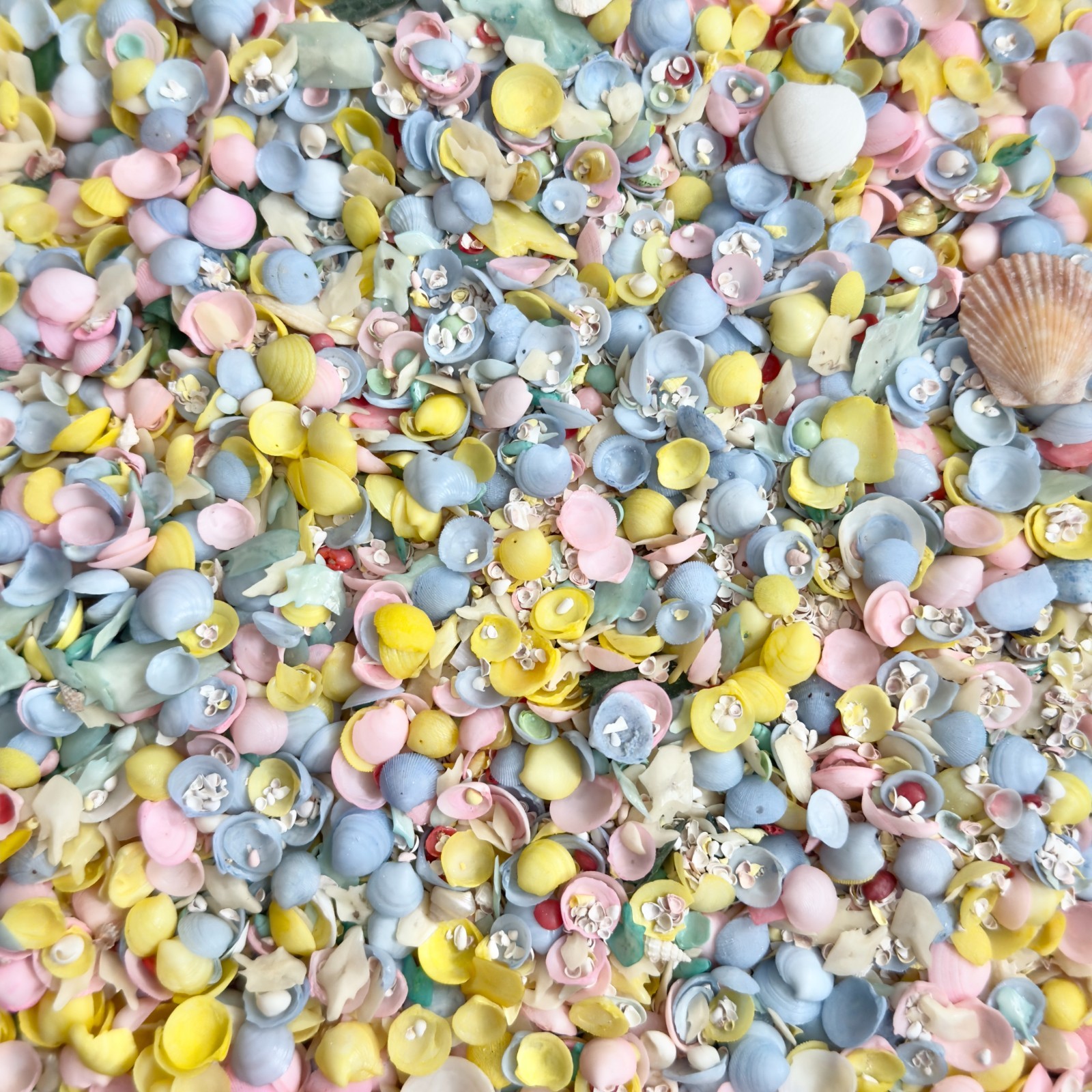 Vintage Mixed Lot of Dyed Sea Shells 1lb 5oz for Crafts & Jewelry Making