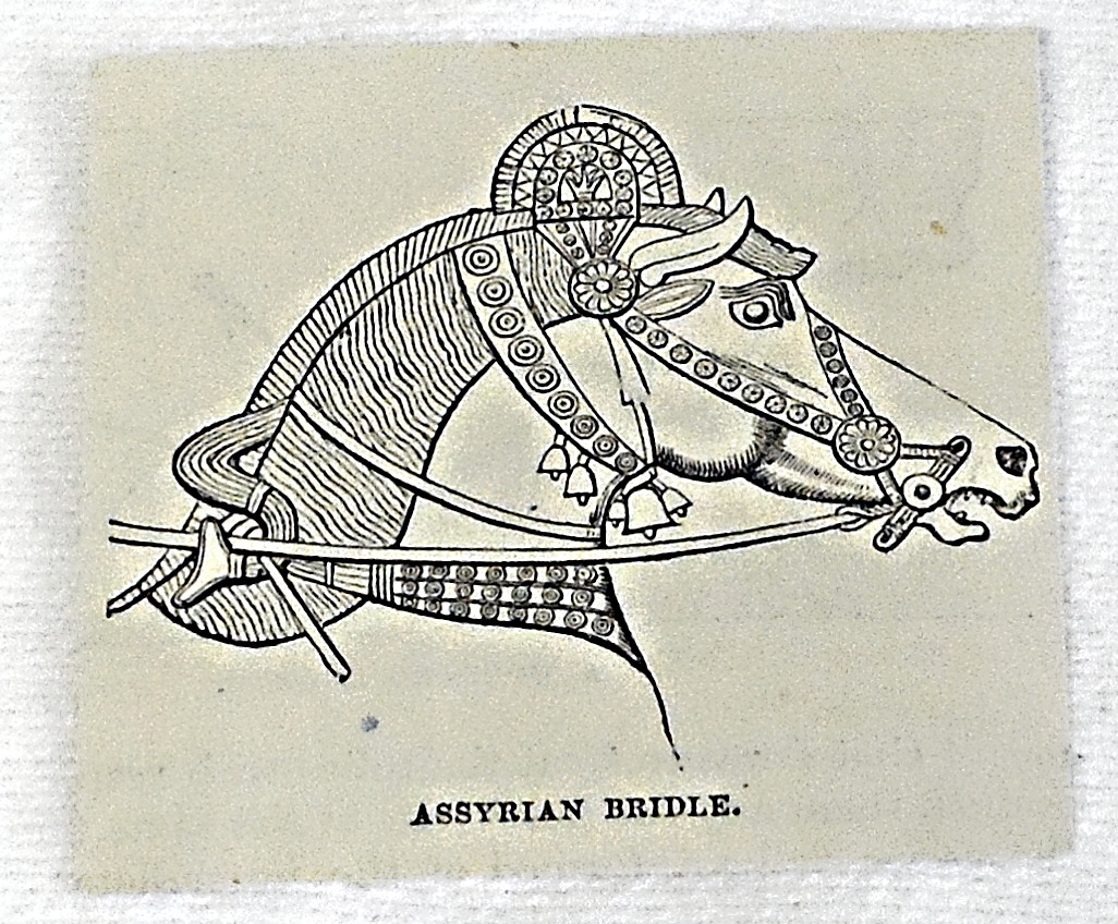 1878 small magazine engraving ~ ASSYRIAN BRIDLE, horse head with ornate reins 1878 small magazine engraving ~ ASSYRIAN BRIDLE, horse head with ornate reins