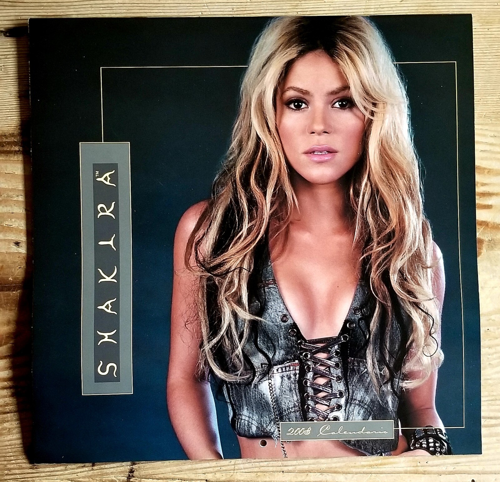 Vintage Shakira Wall Calendario NOS 2003 (Still Sealed) Vintage Shakira Wall Calendario NOS 2003 (Still Sealed)