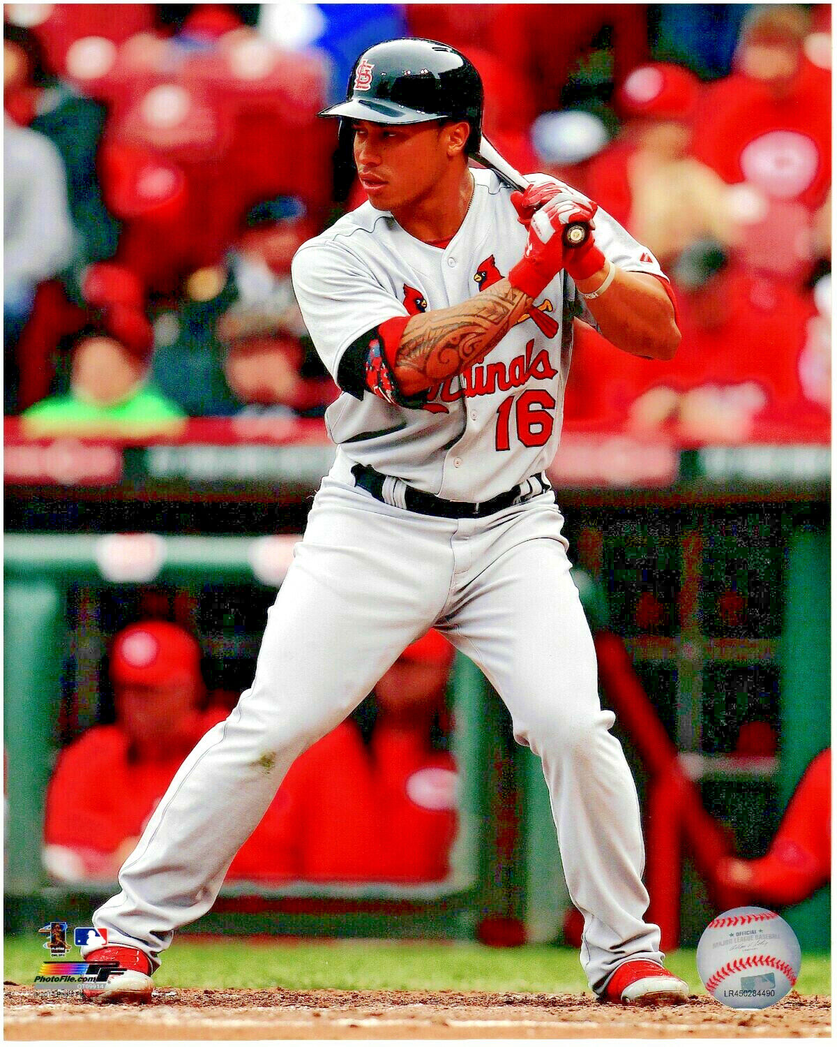 Kolten Wong St. Louis Cardinals LICENSED 8x10 Baseball Photo 