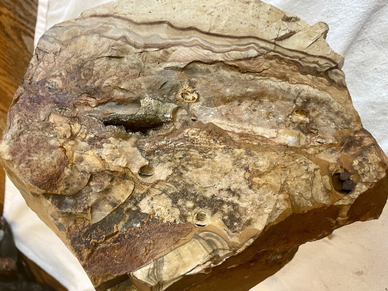 17.86 lb Biggs Picture Jasper Lapidary Rough from Biggs, Oregon 17.86 lb Biggs Picture Jasper Lapidary Rough from Biggs, Oregon