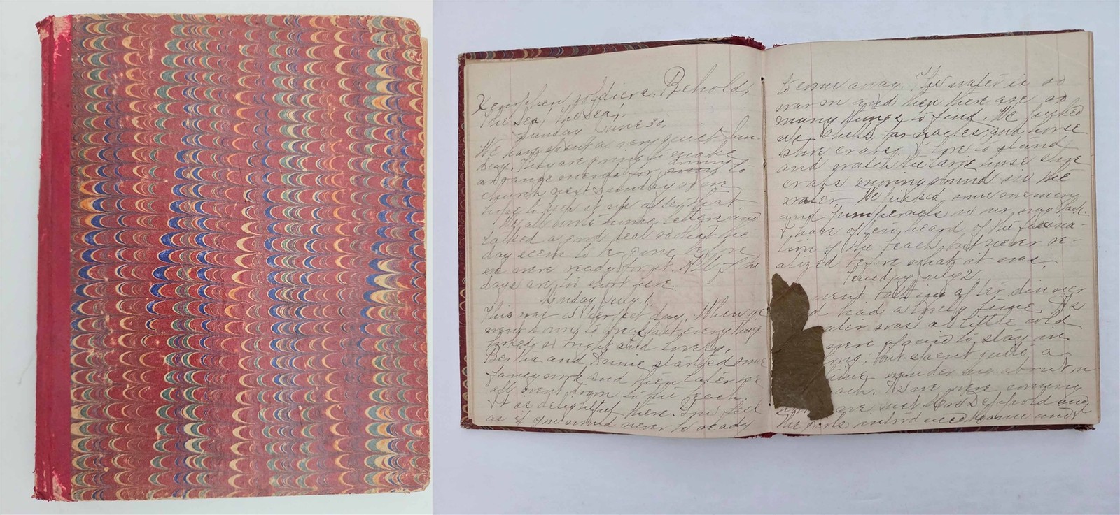 1889 antique handwritten DIARY s. duxbury ma travel excursion pressed leaves