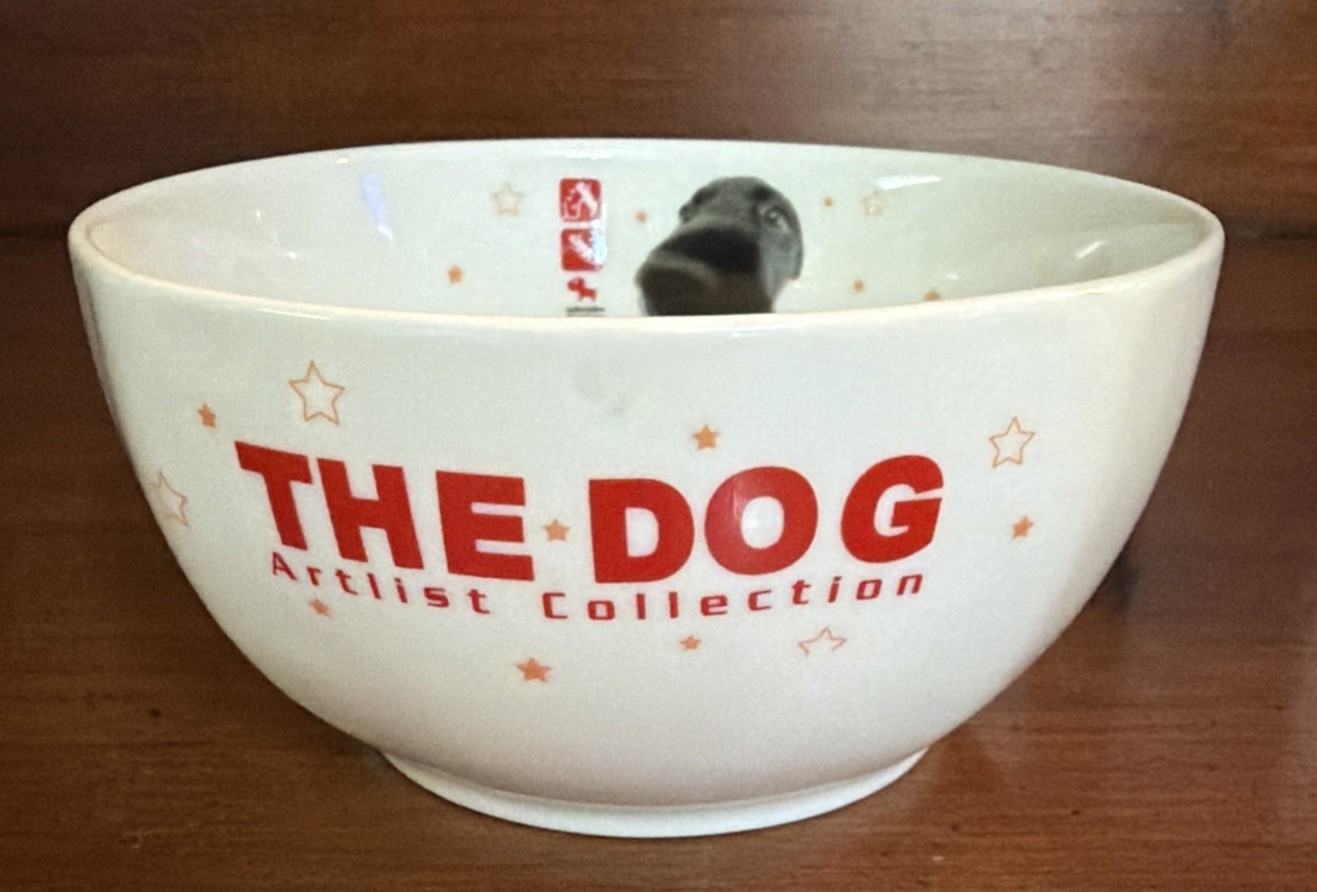 Y2K Vtg Artist Collection The Dog Black Lab Retriever Ceramic Big Nose Bowl Y2K Vtg Artist Collection The Dog Black Lab Retriever Ceramic Big Nose Bowl